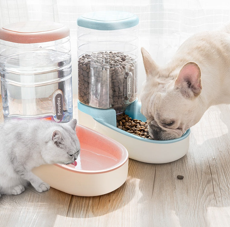 dog automatic drinking and feeding bowl