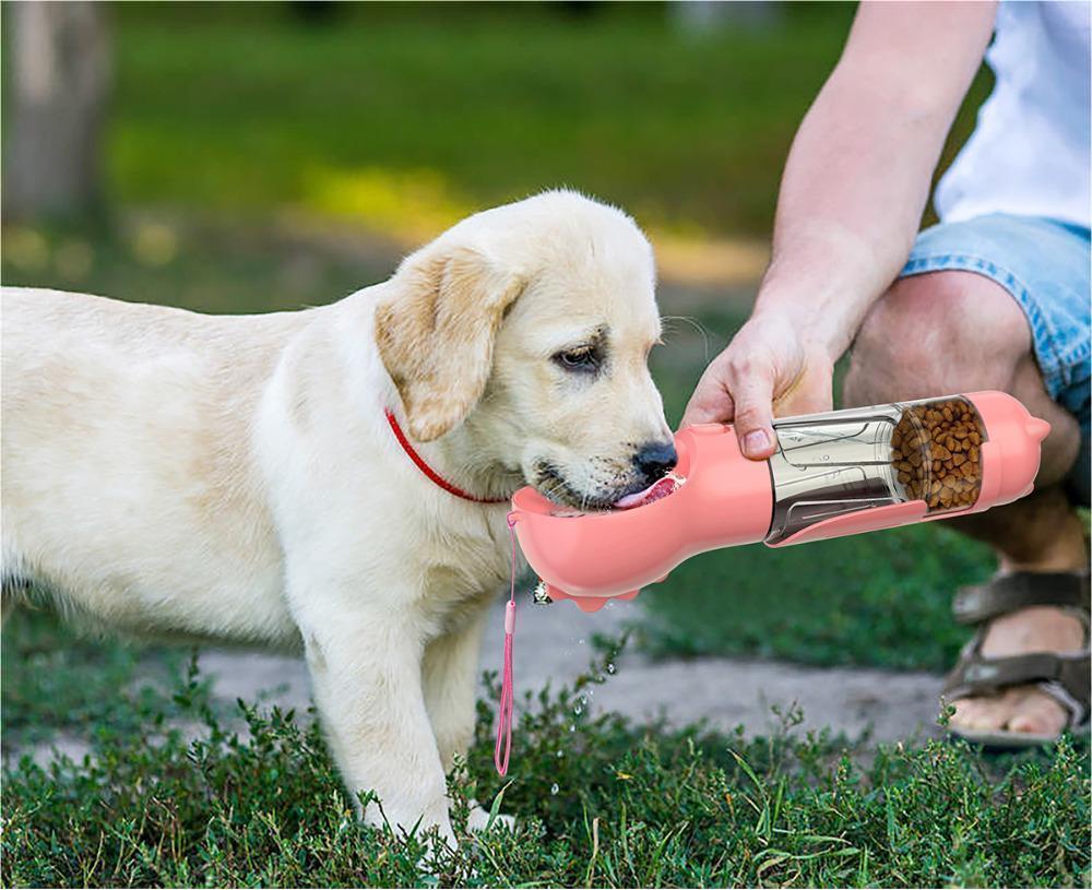 3 In 1 Portable Water Bottle
