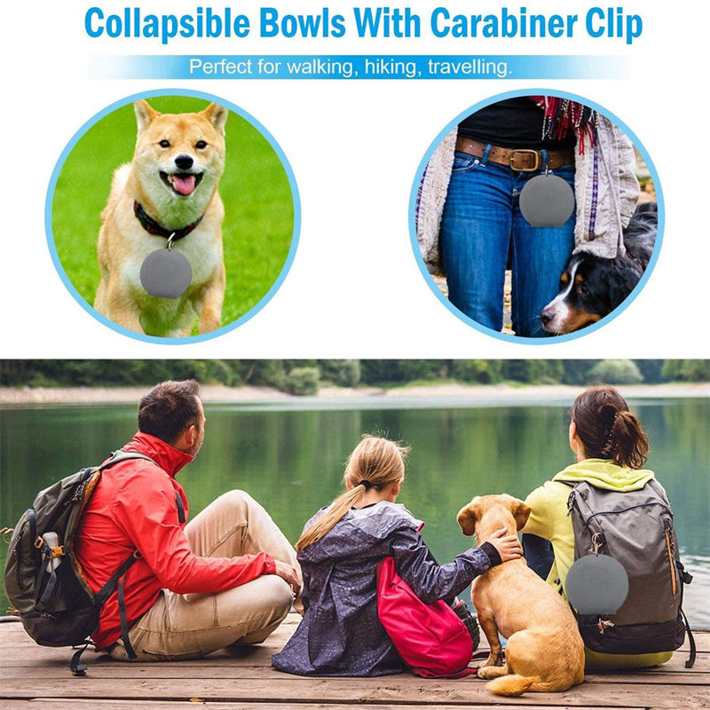 Double Foldable pet Bowl