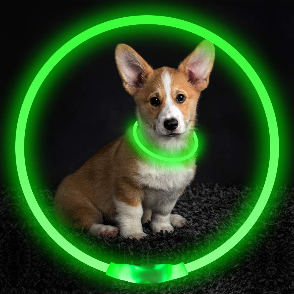 Pet Flashing Collar USB