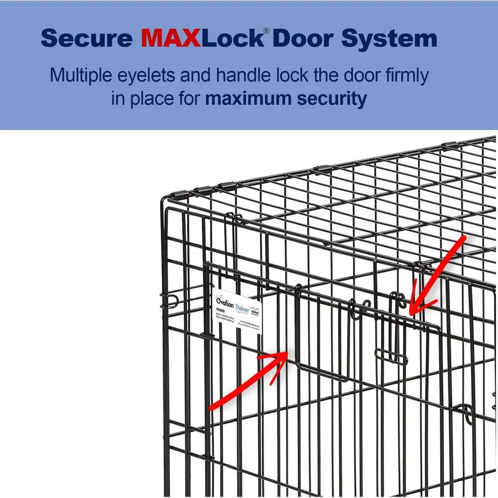 Mid-Size Double-Door Metal Dog Crate