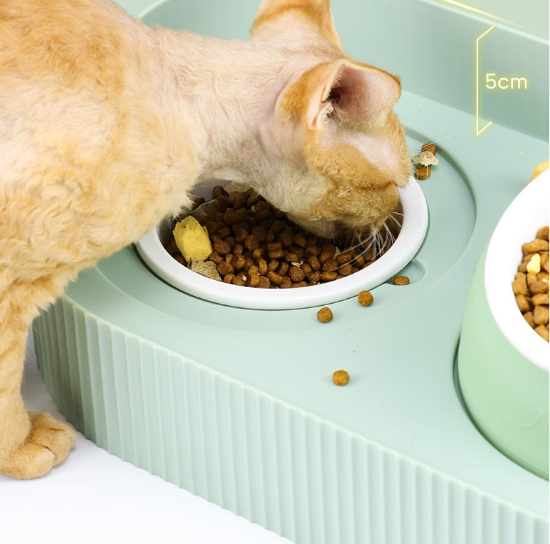 Pet Cat Bowl Ceramic Food Bowls