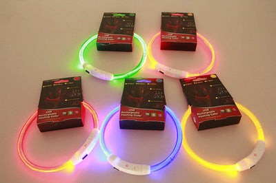 Pet Flashing Collar USB